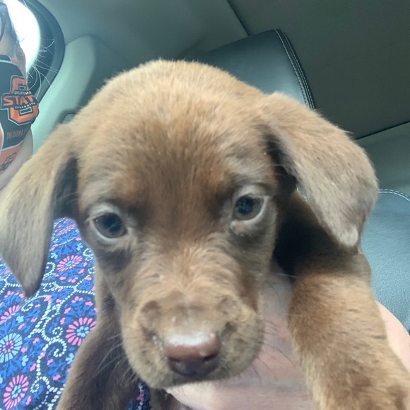 Meet your Posher, Maribeth - Picture 1 of 1